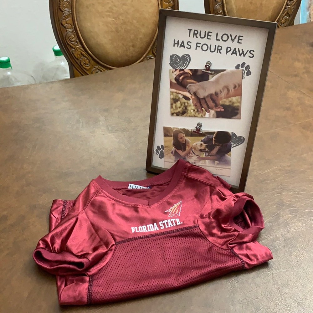 Super Bowl time! Florida State University’s Dog Football Jersey.